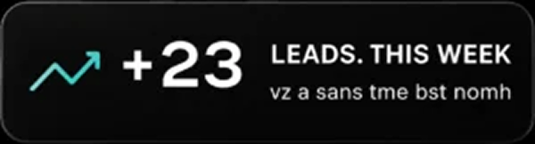 weekly lead growth statistics and performance counter